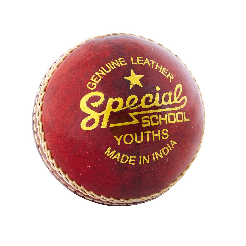 Readers Special School Cricket Ball - Red Youths